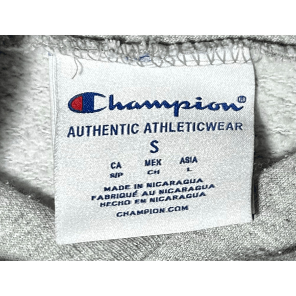 Vintage Champion Urban Outfitters Songbird Gray Hoodie Sz Small Rare - Picture 4 of 11